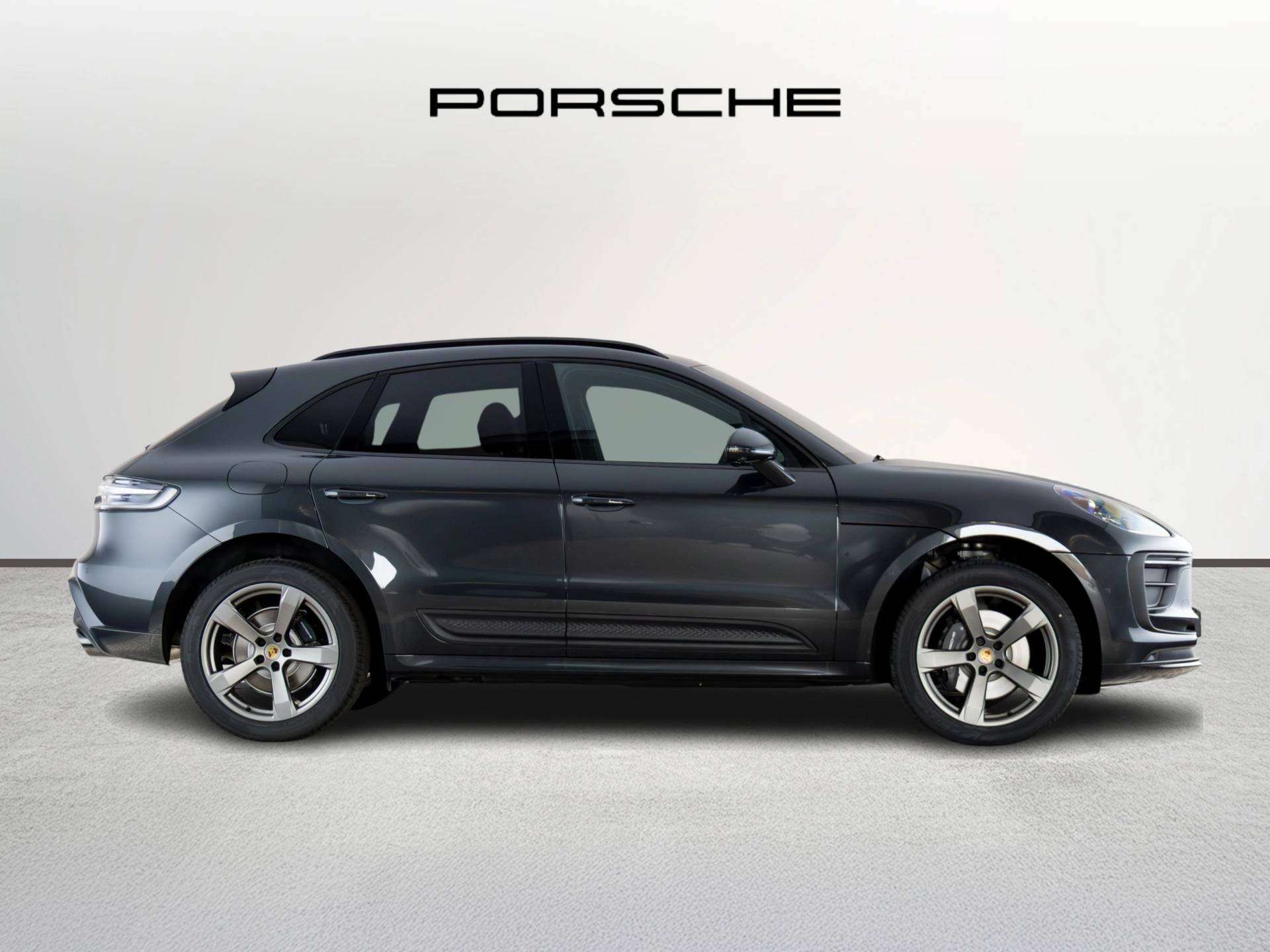 Macan, photo 2 of 40