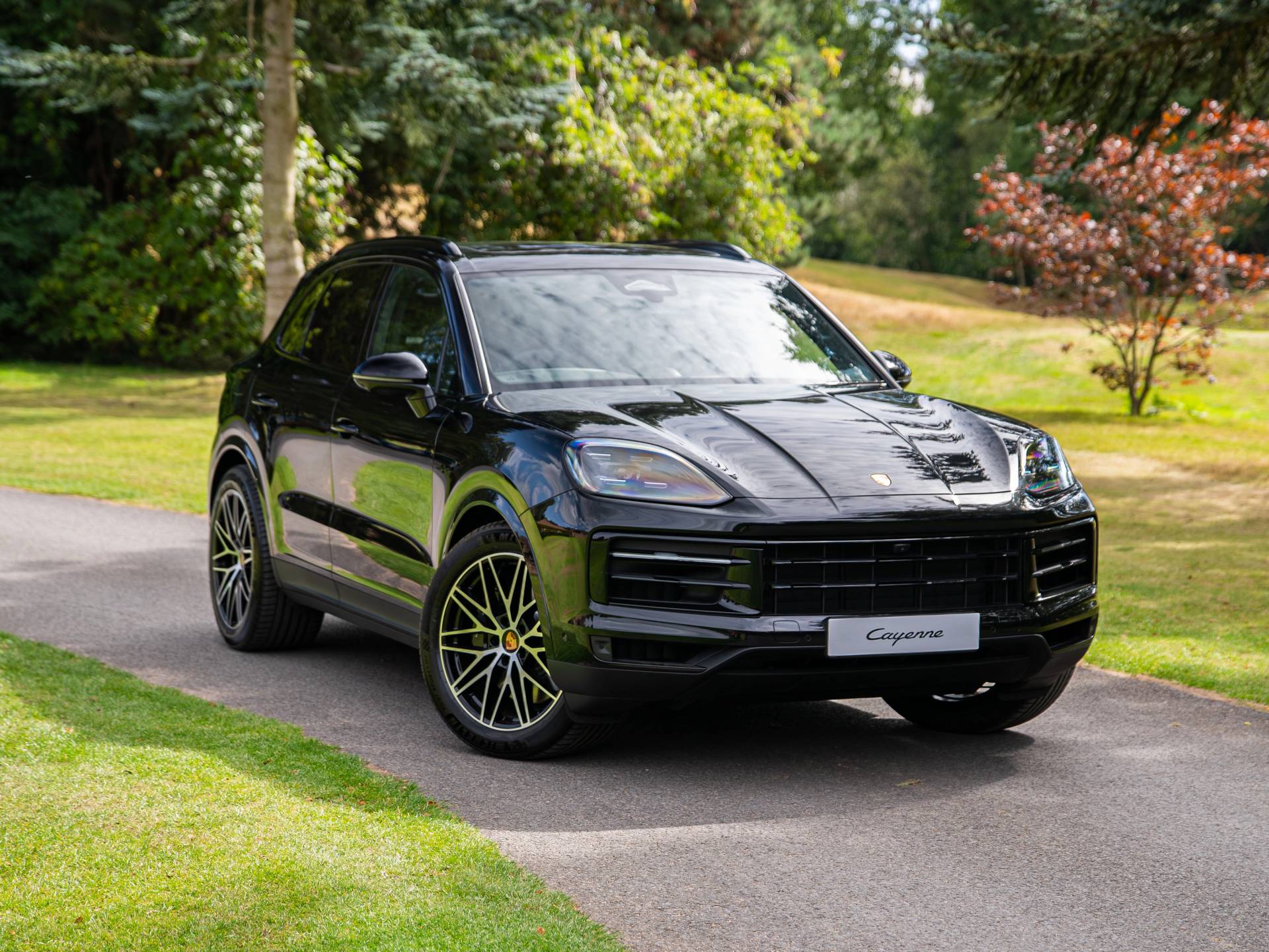 Cayenne S E-Hybrid, photo 1 of 49