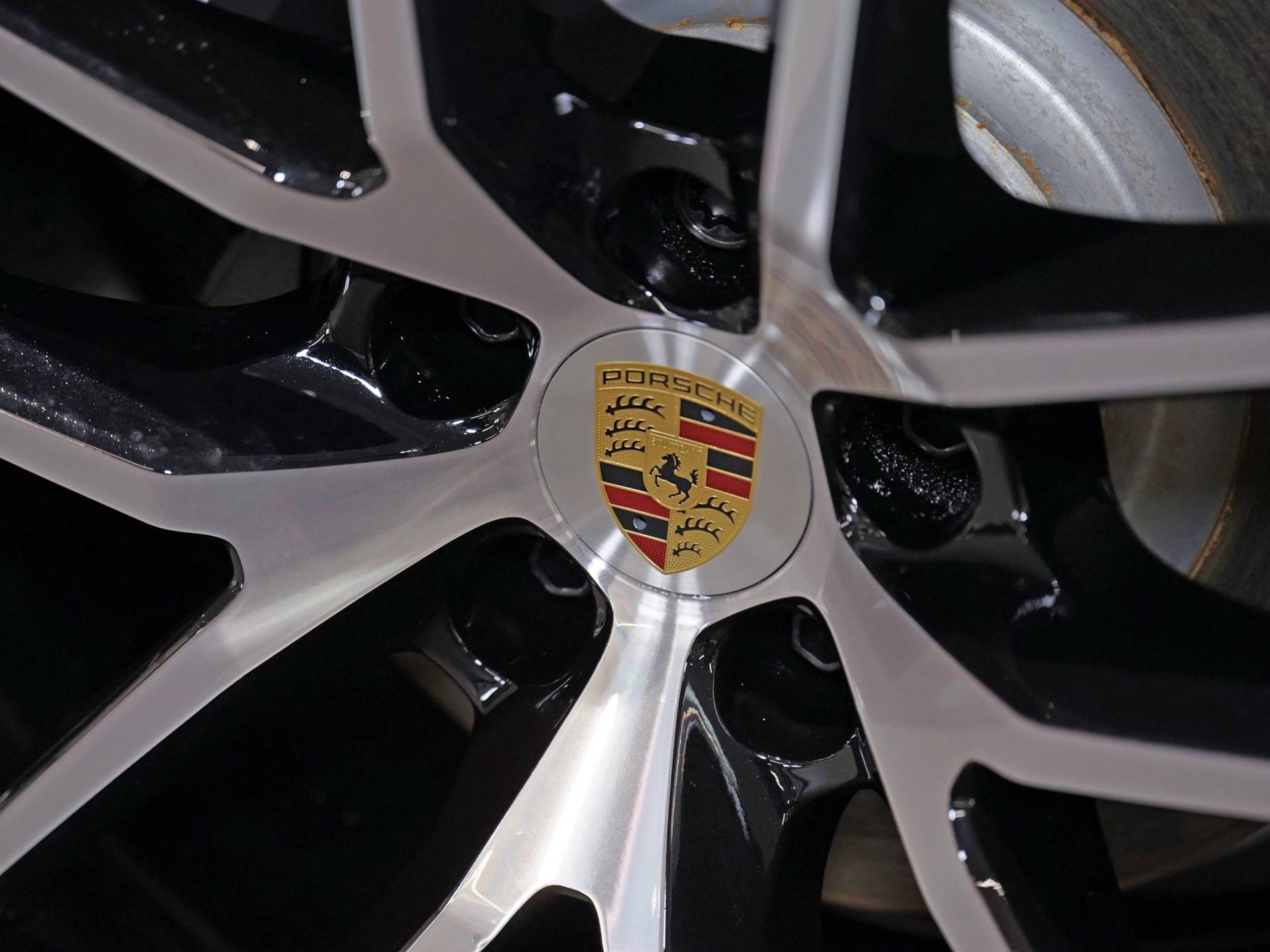 Macan, photo 59 of 59