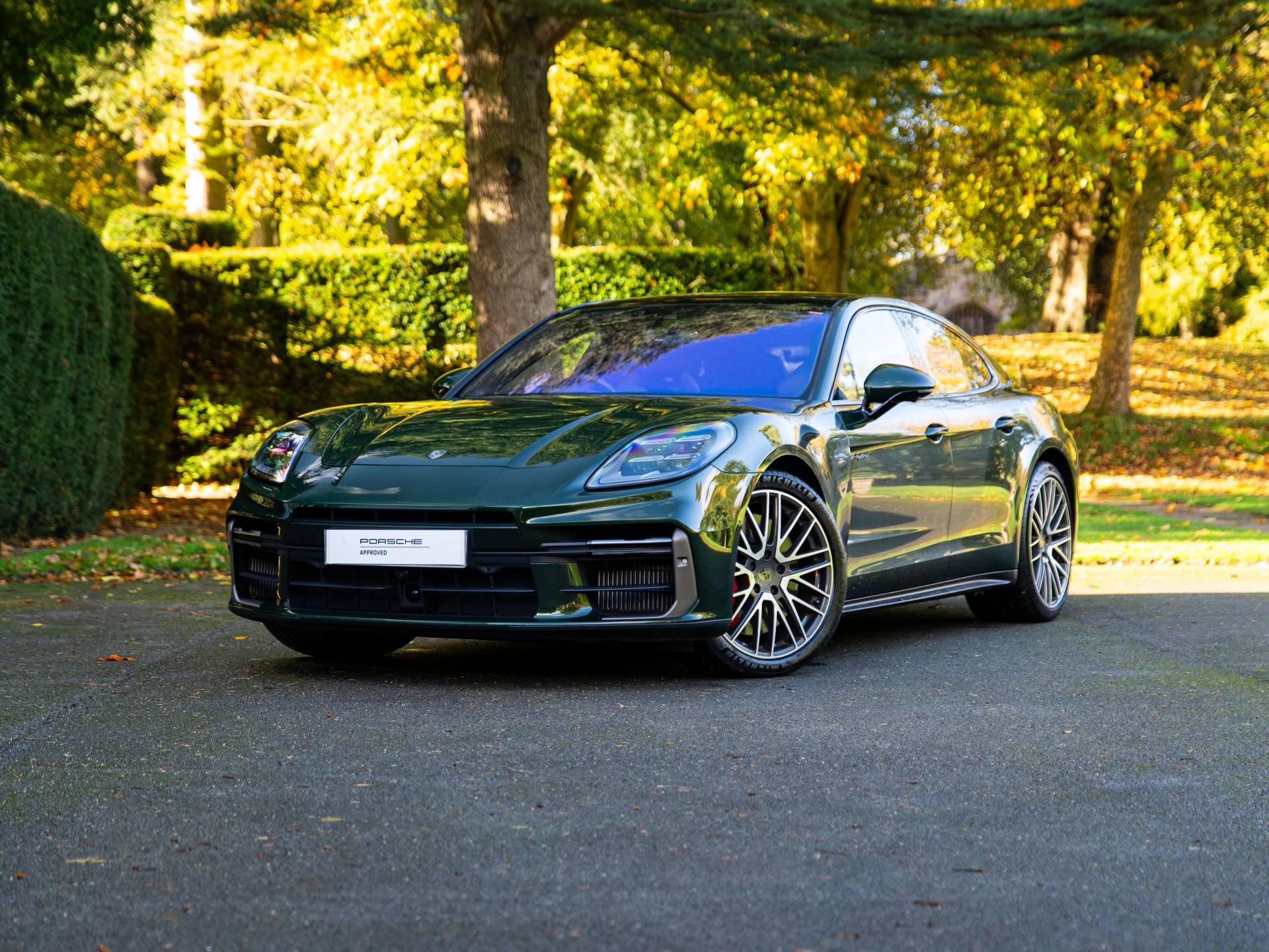 Panamera Turbo E-Hybrid, photo 2 of 59