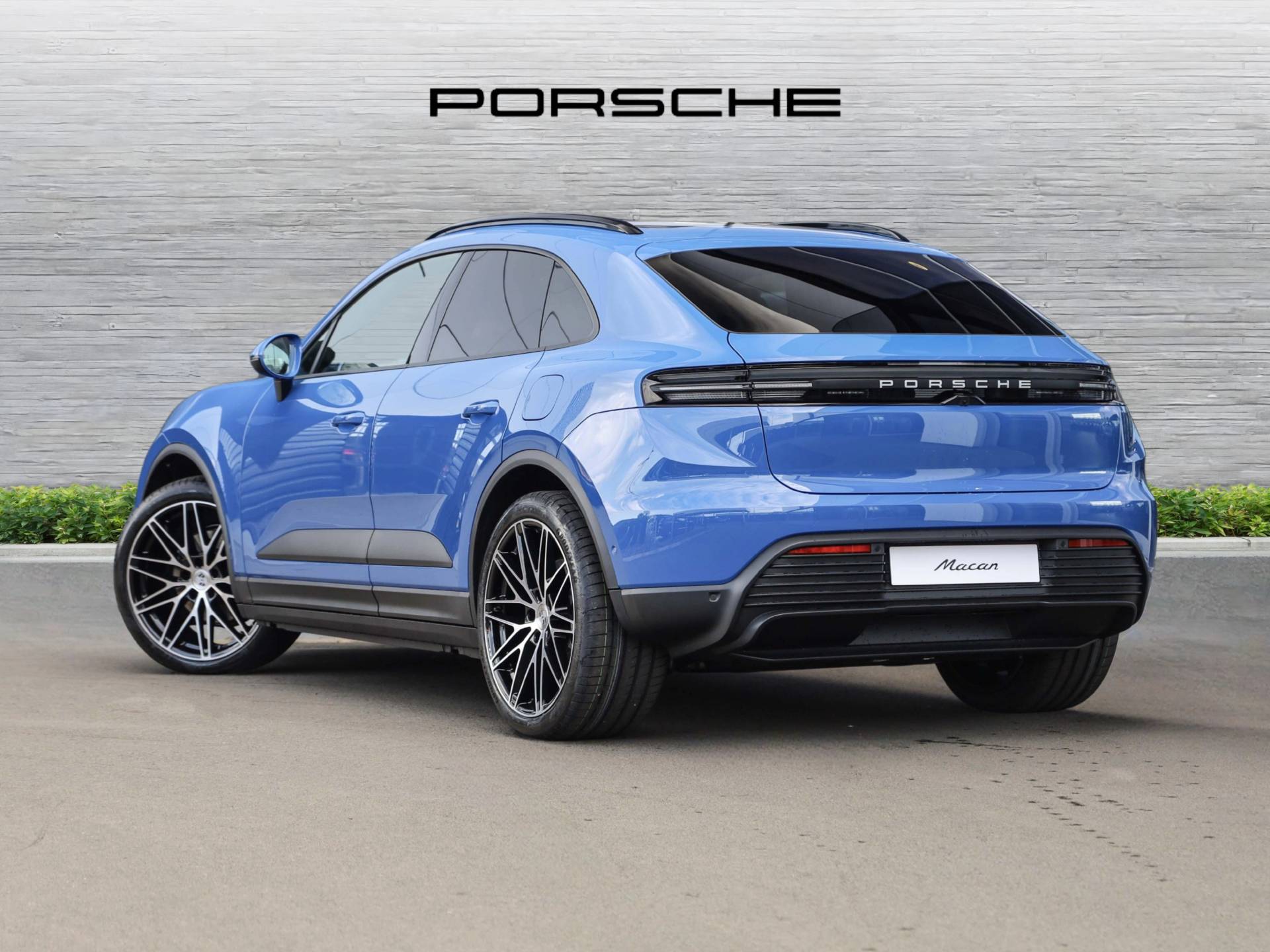 Macan, photo 2 of 35