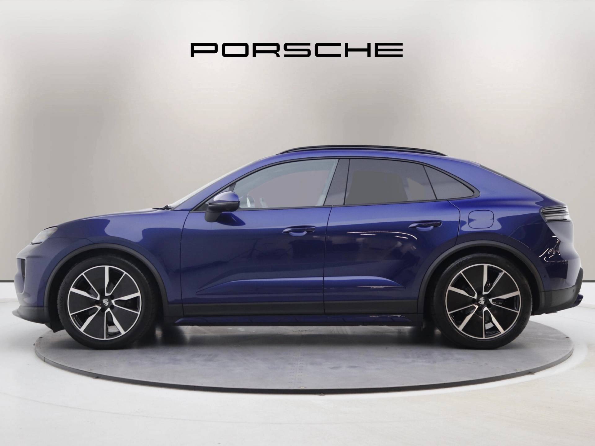 Macan, photo 2 of 41