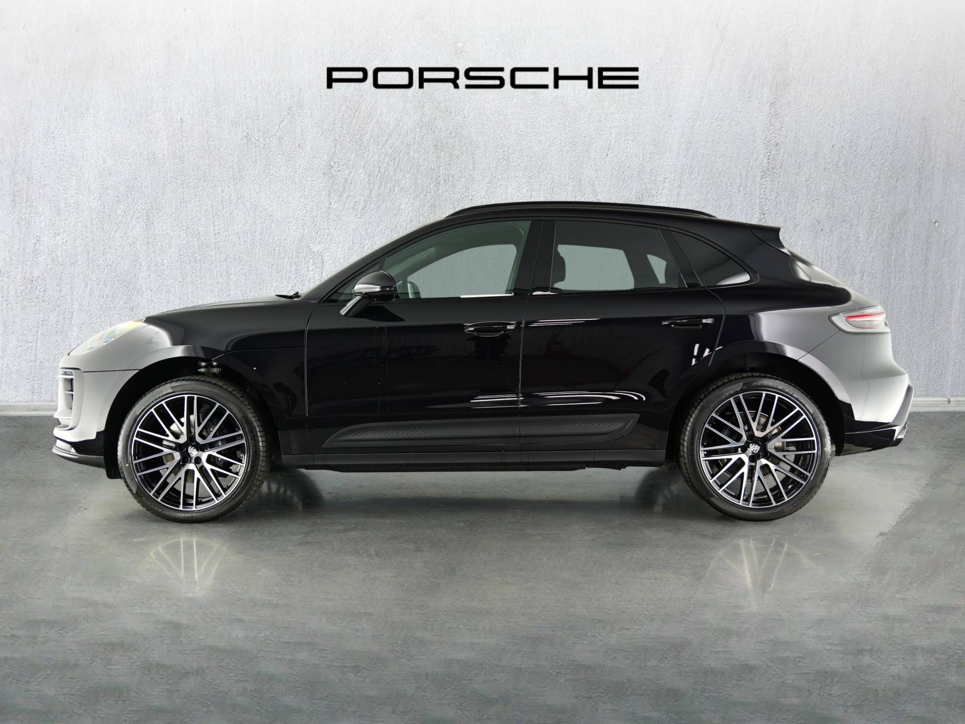 Macan, photo 2 of 36