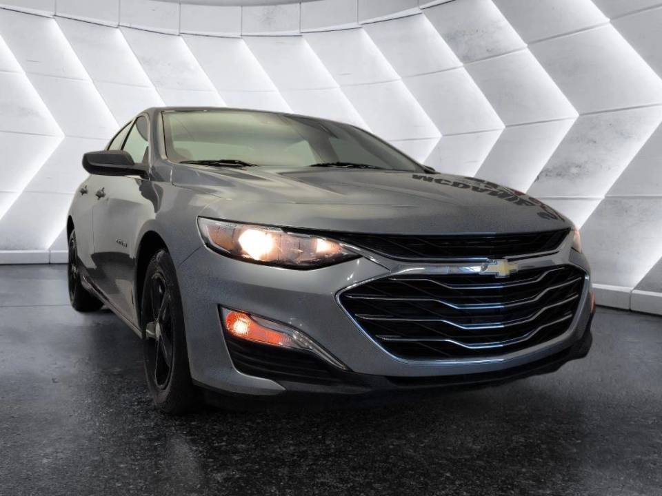 2023 Chevrolet Malibu 1FL
