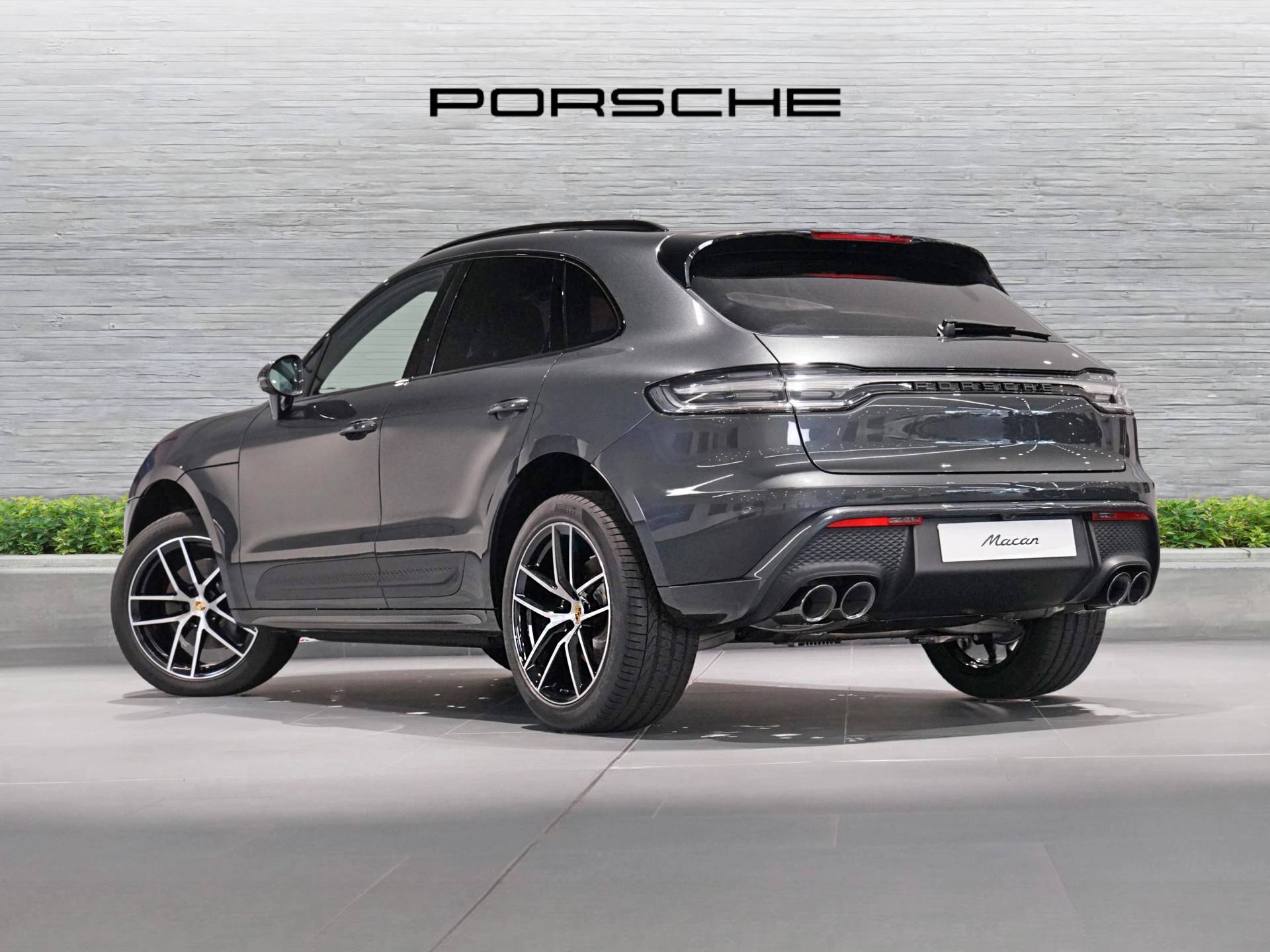 Macan, photo 2 of 59