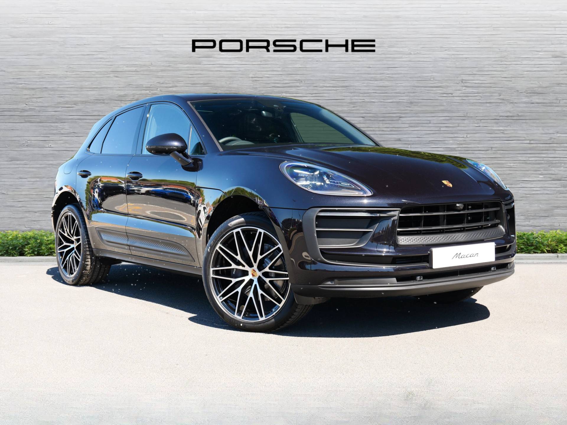 Macan, photo 1 of 34